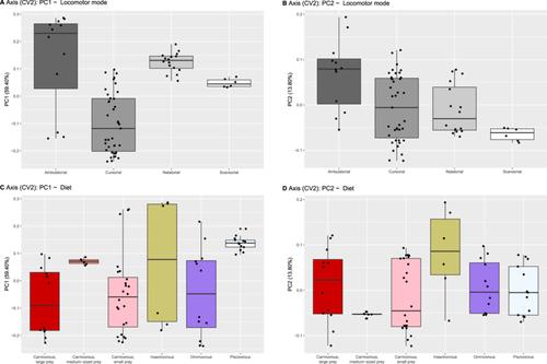 Covariation in the Craniocervical Junction of Carnivora