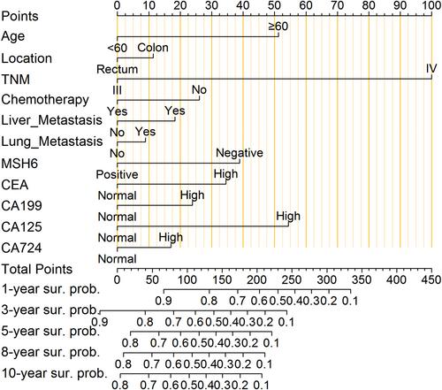 Establishment and Validation of a Prognostic Nomogram for Predicting Postoperative Overall Survival in Advanced Stage III–IV Colorectal Cancer Patients