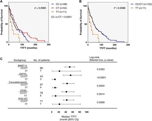 CAT rs1001179 Single Nucleotide Polymorphism Identifies an Aggressive Clinical Behavior in Chronic Lymphocytic Leukemia