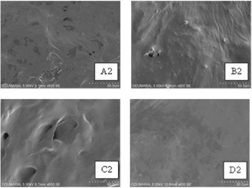 Effect of Different Pretreatments on Drying Characteristics and Physicochemical Properties of Apricot (Prunus armeniaca L.)