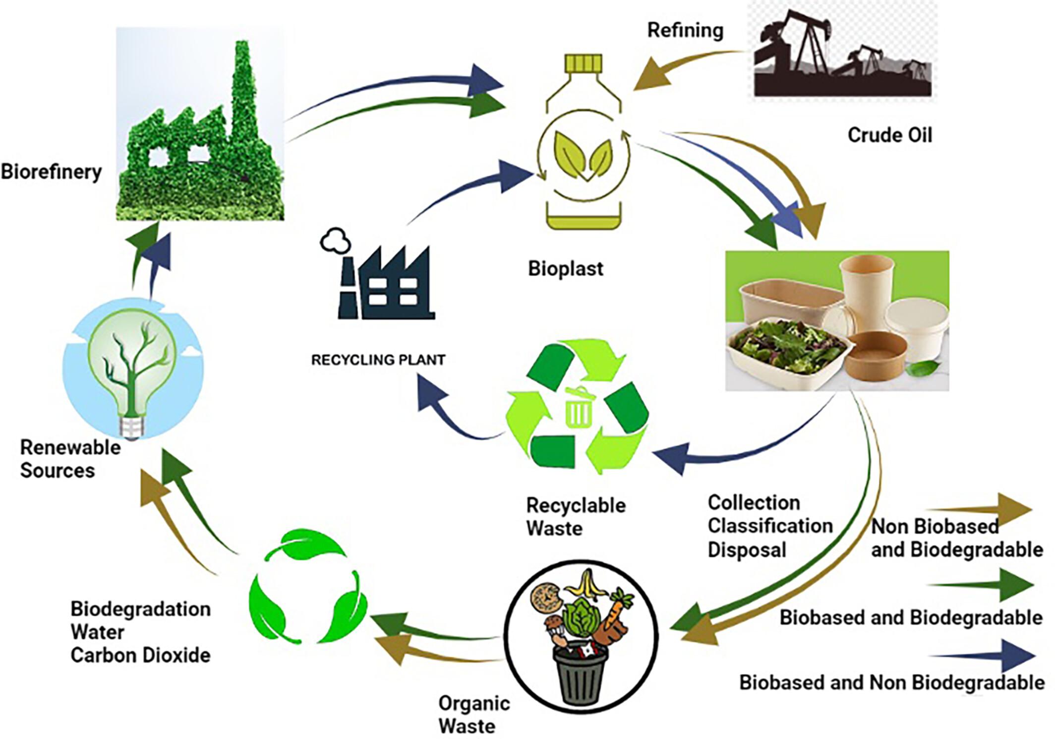 Biopolymers for a Sustainable Food System: Sources, Applications, and Environmental Impacts