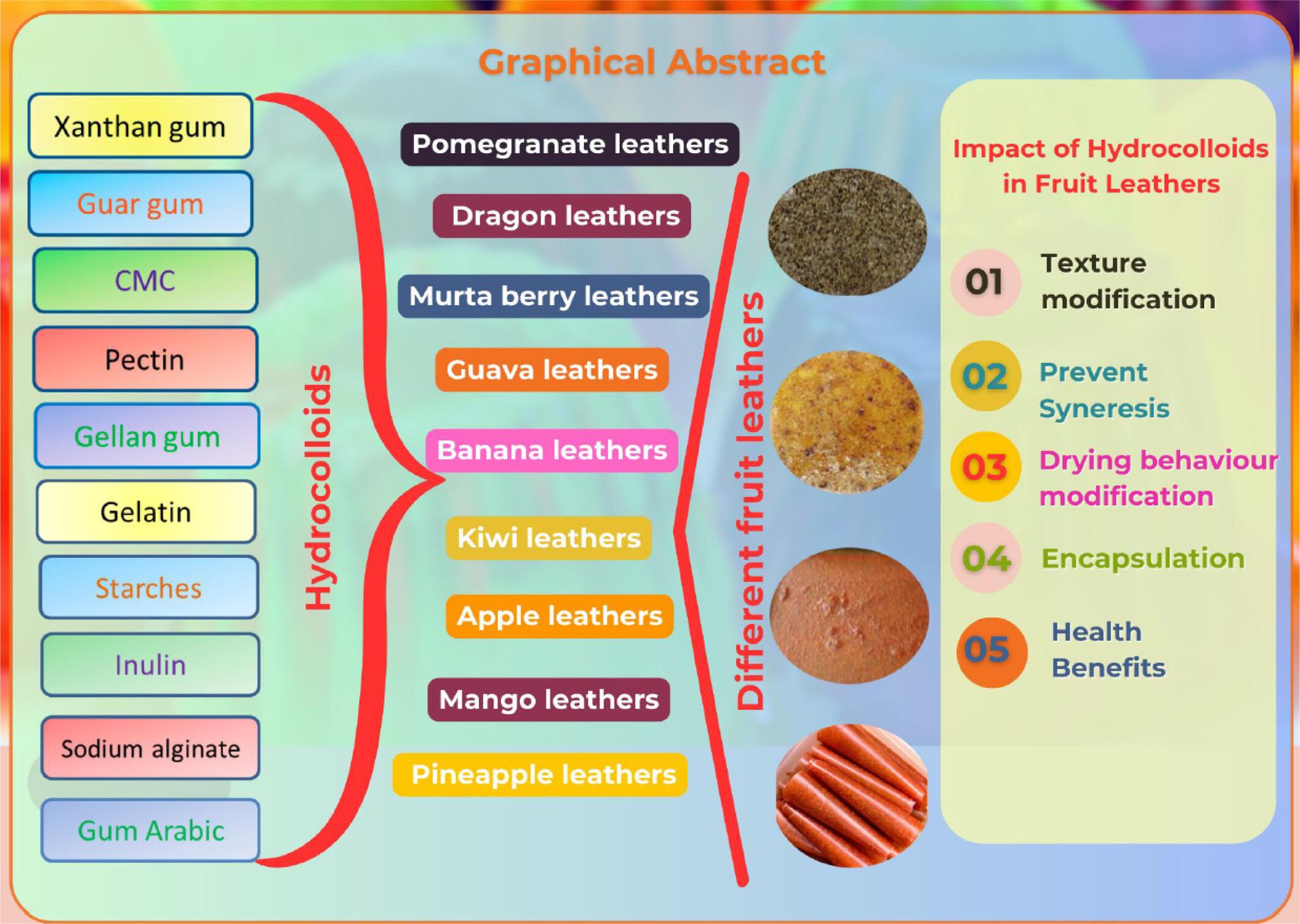 Transformation of Quality Attributes of Fruit Leathers Using Diverse Hydrocolloids: Recent Application and Future Perspective