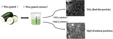 A New Wax Gourd (Benincasa hispida (Thunb.) Cogn.)-Assisted Green Synthesis Method of Metal Oxides (TiO2, MgO)