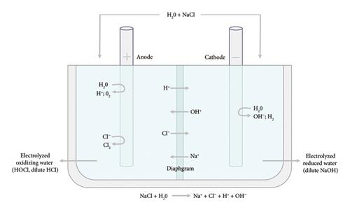 Electrolyzed Water: A Promising Strategy for Improving Food Quality and Safety of Fruits, Vegetables, and Meat