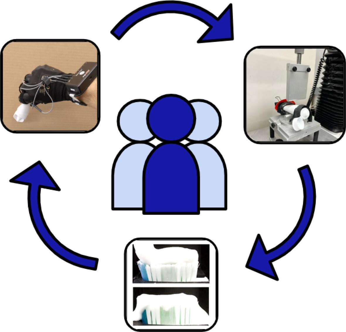 Psychophysical and Rheological Investigation of Toothpaste Tube Squeezability: A People-Centric Approach