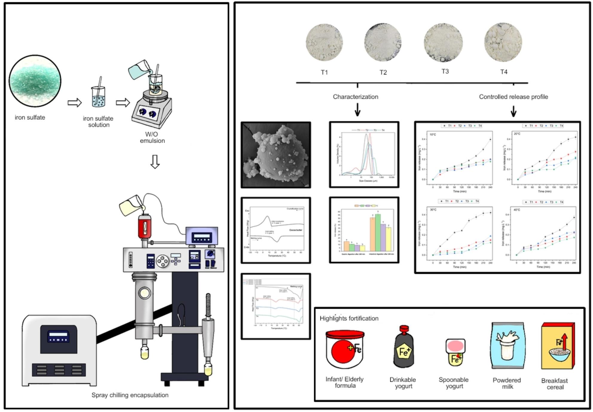 Microencapsulation of Ferrous Sulfate in Lipid Matrices Produced by Spray Chilling: Characterization, Controlled Release, and In Vitro Gastric Behavior