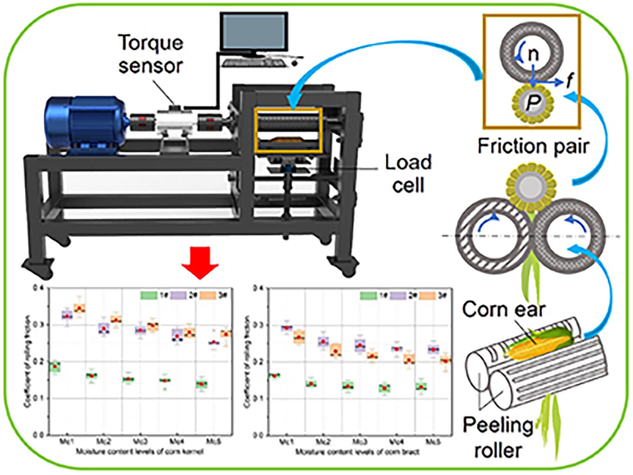 Determination of Friction Characteristics of Corn Ears at Varying Factors in Mechanical Peeling