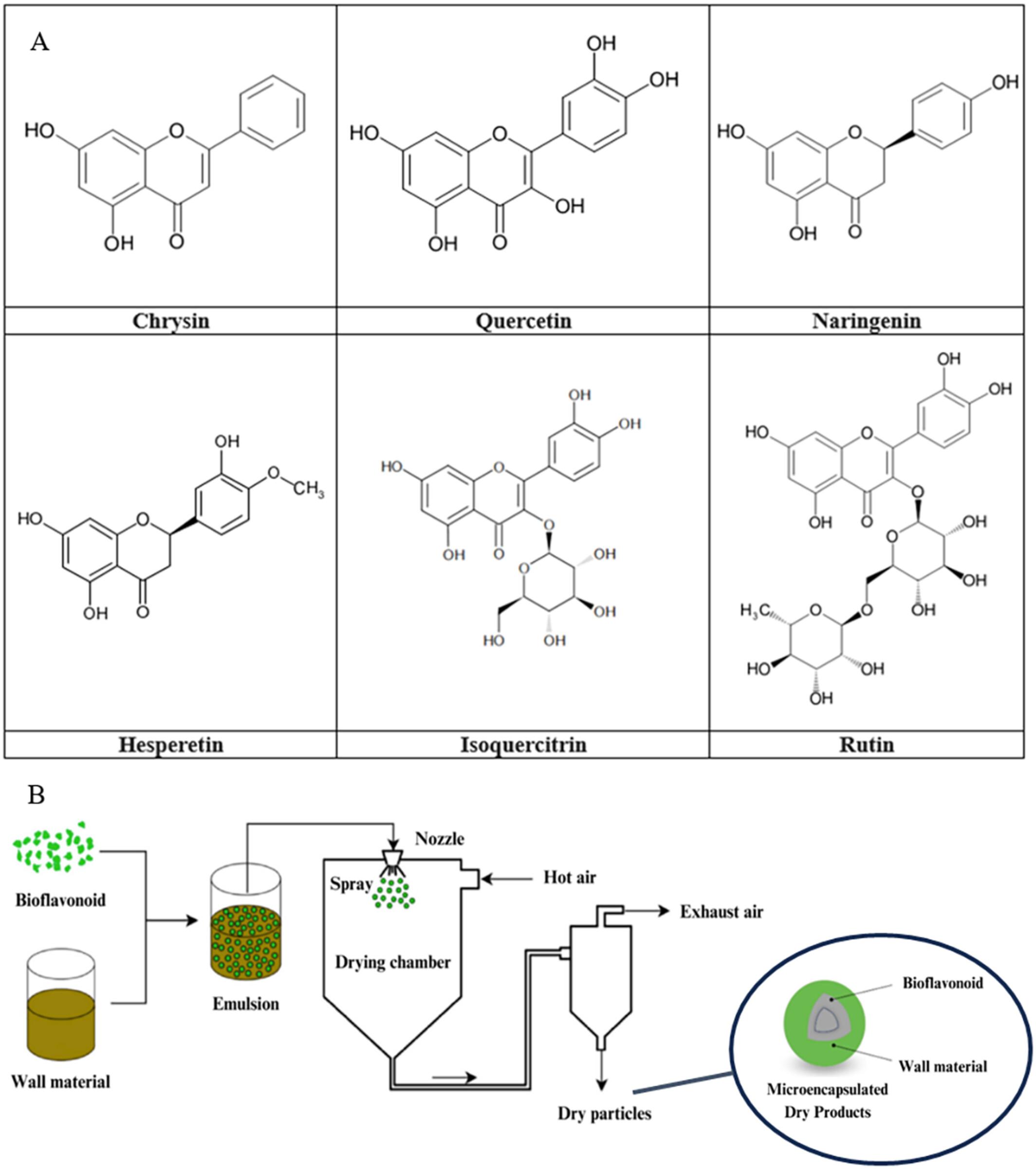 Spray Drying Microencapsulation of Antioxidant Bioflavonoids: A Bibliometric Analysis and Review on Recent Research Landscape (2013–2023) and Process Optimization