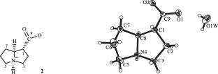 Alkaloids of Lindelofia macrostyla and a New Unsaturated Carboxylic Acid