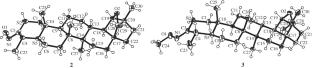 New Amino-Derivatives of 24-Nor-Allobetulin