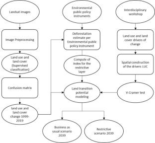 Forest fates: Unraveling the peri-urban social–ecological trajectories in Mexico City's conservation land