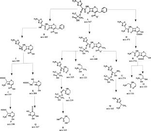 Sunlight Driven Degradation of Drug Residues Using CuO Incorporated- Zeolite Supported- Graphitic Carbon Nitride