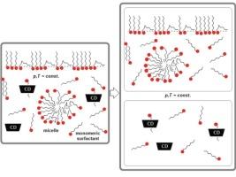 Parallel (competitive) reactions of micelle formation and cyclodextrin–surfactant inclusion complex formation in aqueous solution: A consequence of the Gibbs–Duhem equation—invariance of the mass action law and the possibility of determining the equilibrium constant of the inclusion complex