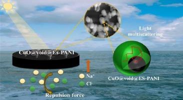 Enhanced solar-to-steam conversion efficiency using CuO-polyaniline yolk-shell structures