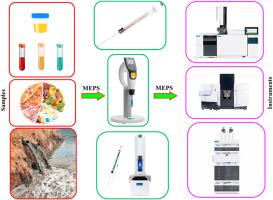 Microextraction by packed sorbents (MEPS): Fundamental principles and nanomaterial-based adsorbents