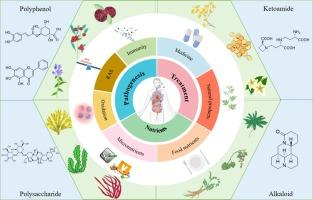 Application and mechanism of natural products and nutrient elements in COVID-19