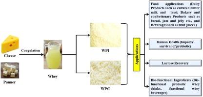 Processing and formulation technology of nutritional and functional food products by utilizing cheese and/or paneer whey: A critical review