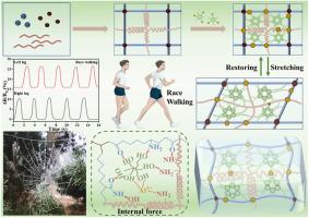 Spider web-inspired sericin/polyacrylamide composite hydrogel with super-low hysteresis for monitoring penalty of sports competition