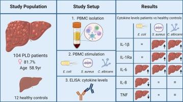 Exploring the innate immune response in polycystic liver disease