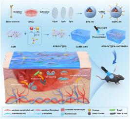 Engineered biomimetic nanovesicles-laden multifunctional hydrogel enhances targeted therapy of diabetic wound