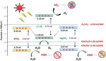 Construction of BiVO4/g-C3N4/Ag3PO4 ternary heterojunction with double Z-scheme and its photocatalytic and bacteriostatic properties