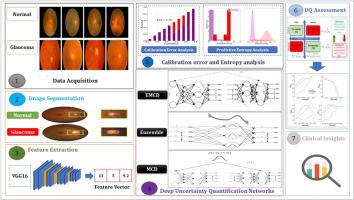 A framework for robust glaucoma detection: A confidence-aware deep uncertainty quantification approach with a comprehensive assessment for enhanced clinical decision-making