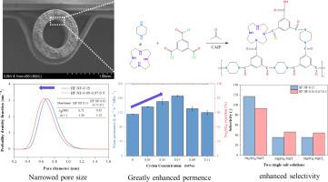 High performance composite hollow fiber nanofiltration membrane fabricated via the synergistic effect of co-solvent assisted interfacial polymerization and macrocyclic polyamine incorporation