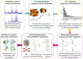 Pharmacokinetic profiling and network pharmacology of honey-fried Licorice: An Integrative workflow to study traditional Chinese medicines (TCMs)