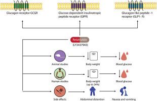 The power of three: Retatrutide's role in modern obesity and diabetes therapy