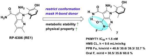 Discovery of pyrrolopyrimidinone derivatives as potent PKMYT1 inhibitors for the treatment of cancer