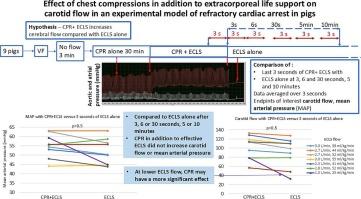 Effect of chest compressions in addition to extracorporeal life support on carotid flow in an experimental model of refractory cardiac arrest in pigs