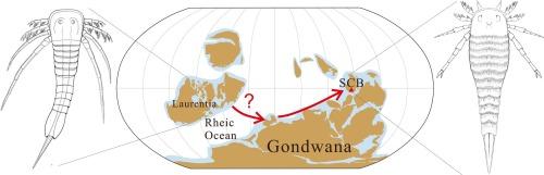 Early Devonian stylonurine eurypterids from northern Gondwana: Late Lochkovian to early Pragian records from South China