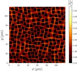 Linear viscoelasticity of anisotropic carbon fibers reinforced thermoplastics: From micromechanics to dynamic torsion experiments