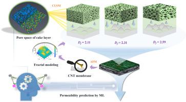 New insight into pore characteristics for cake layers formed on nanocomposite membranes: Effect of membrane surface fractality