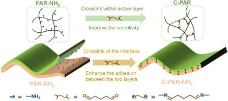 Imine-linked integrally crosslinked thin-film composite membrane for organic solvent nanofiltration