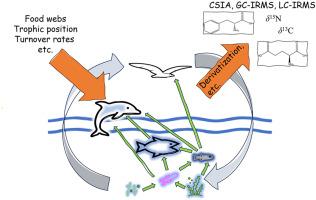 Compound-specific isotope analysis of amino acids for aquatic systems – Problems, challenges, solutions: A review