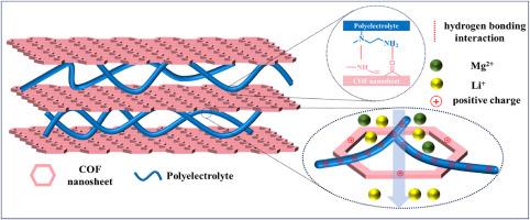 Hydrogen bond-mediated assembly of homo-charged COF nanosheets and polyelectrolytes towards robust Li+/Mg2+ separation membrane