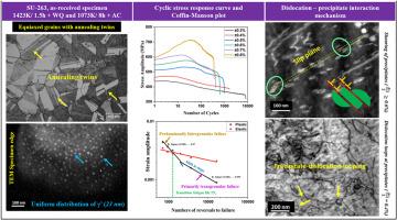 Effect of strain amplitude on the low cycle fatigue behavior and deformation mechanisms in alloy SU-263 at elevated temperature