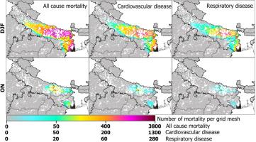 Long-term changes in black carbon aerosols and their health effects in rural India during the past two decades (2000–2019)