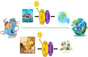 SnS2/ZIF-67 nanocomposite: A novel bifunctional, highly efficient, and reusable photocatalyst for enhanced visible-light-assisted biodiesel production and degradation of tinidazole