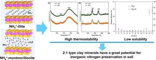 Thermostability and solubility of ammonium illite and ammonium montmorillonite: Implication for inorganic nitrogen preservation