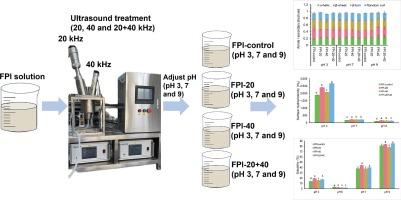 Effects of mono- and dual-frequency ultrasounds on structure and physicochemical properties of faba bean proteins