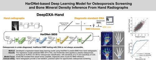 HarDNet-based deep learning model for osteoporosis screening and bone mineral density inference from hand radiographs