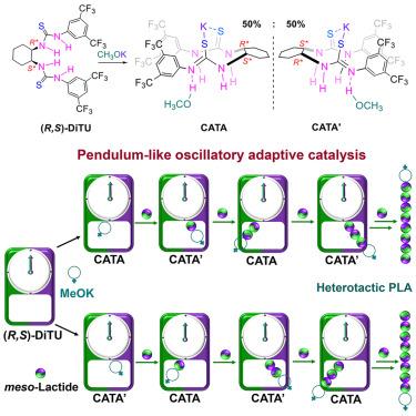 Oscillatory adaptive catalysis: Intramolecular chain shuttling regulated by stereo-autocorrection in stereoselective polymerization of lactide