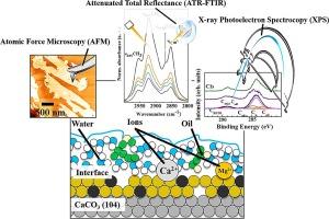 Investigation of the effects of an excess of Ca2+ and Mg2+ ions in low salinity water in the process of oil removal, dissolution, and solvation in calcites