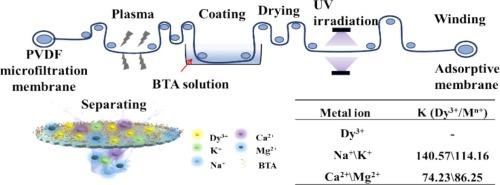 A novel adsorptive membrane for rare earth recovery prepared by facile UV grafting using 3,3′, 4,4′-benzophenone tetracarboxylic acid (BTA)