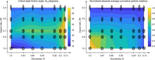 Role of particle shape in sheared granular media: Roundness and elongation