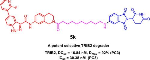 Discovery of the first selective and potent PROTAC degrader for the pseudokinase TRIB2