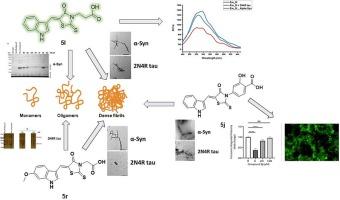 Exploring the rhodanine universe: Design and synthesis of fluorescent rhodanine-based derivatives as anti-fibrillar and anti-oligomer agents against α-synuclein and 2N4R tau