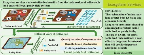 Ecosystem services and cost-effective benefits from the reclamation of saline sodic land under different paddy field systems